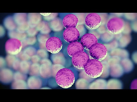 10 ყველაზე საშიში ბაქტერია