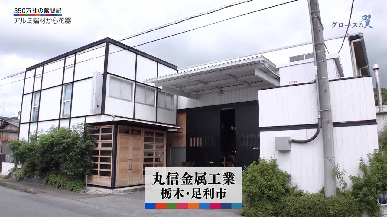Pretty Pridot Honpen Chuhen Honban Reipu