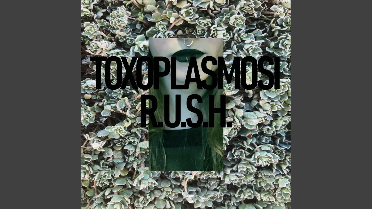 Watch R.U.S.H. on YouTube Watch R.U.S.H. on YouTube