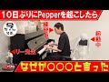 10日ぶりに起こされたPepperさんは「何を言う」編