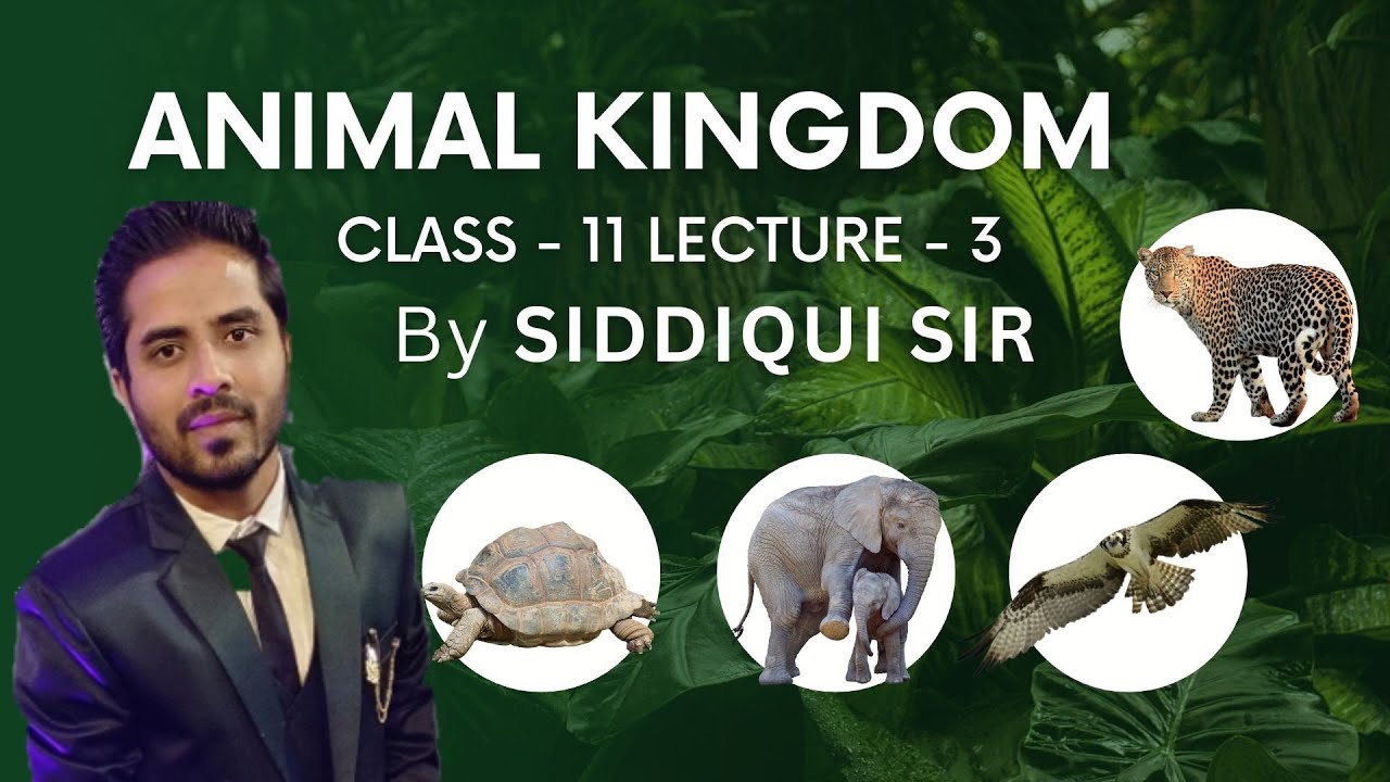 NCERT CLASS 11 BIOLOGY CHAPTER 4 ANIMAL KINGDOM NEET BASED LACTURE BY ...