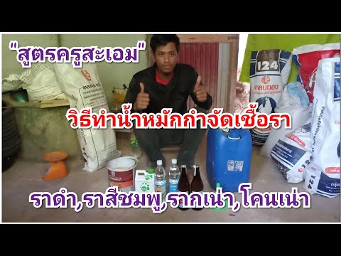 วิธีทำน้ำหมักกำจัดเชื้อรา,ราดำ,ราสีชมพู,โรครากเน่า,โคนเน่า