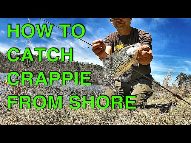 How We Quickly Catch Crappie From Shore (And You Can To) 