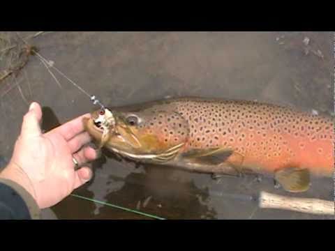 Fly Fishing Wyoming with Grey Reef Anglers