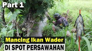 Mancing Ikan Wader di Spot Persawahan Kepis Mania Part 1