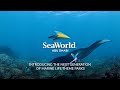 SeaWorld Abu Dhabi | Rayna Tours