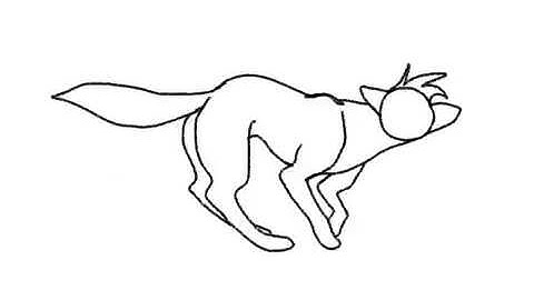 Wolf Run Cycle at Different Framerates