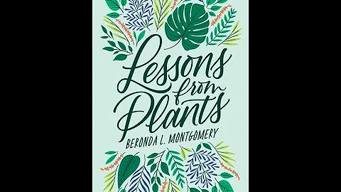 Beronda Montgomery and Crystal Fleming - Lessons f...