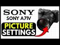 Best PICTURE SETTINGS for Sony a7iv (EASY) 2026