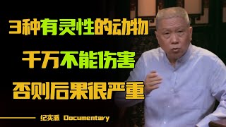 农村老人常言道“这三种有灵性的动物，千万不能伤害！”否则后果很严重！#圆桌派 #许子东 #马家辉 #梁文道 #锵锵行天下 #观复嘟嘟 #马未都