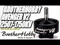 BrotherHobby Avenger V2 2507-1750KV: 6S-Endgame or 6S-Marvel?