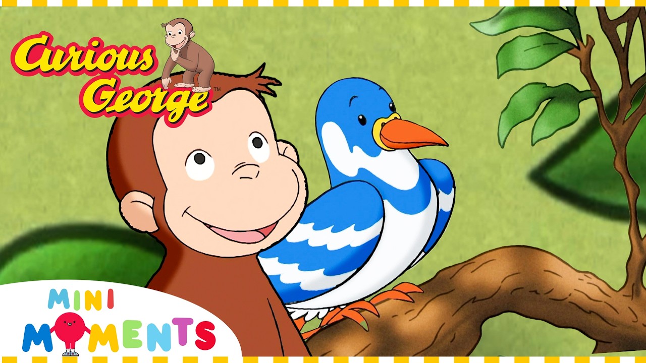 George's Favourite Bird! 🐦 | Curious George | Mini Moments