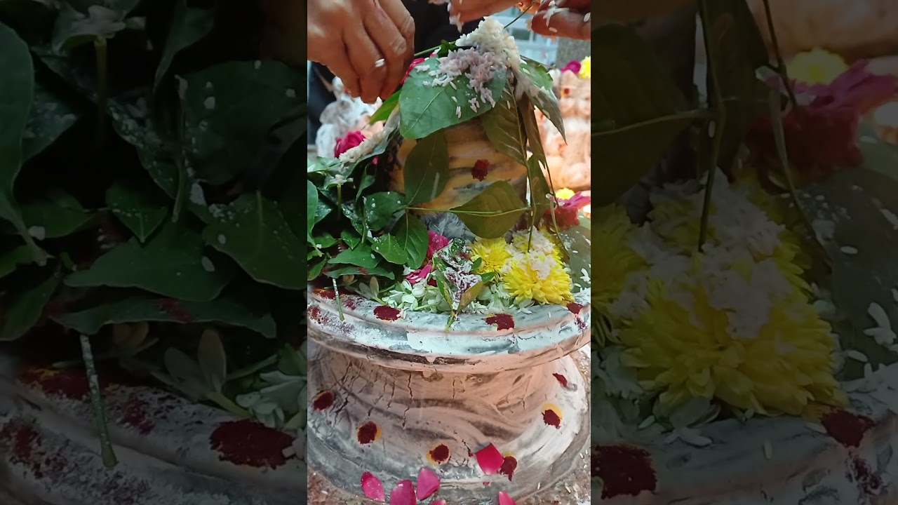 om Namah Shivaya 🙏 #short #shortvideo