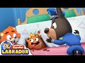 🔍Sheriff Labrador - Monstruo Bajo la Cama 👻🛏️ | Videos para Niños | BabyBus en Español