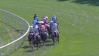 Vidéo de la course PMU PRIX DE NEWMARKET