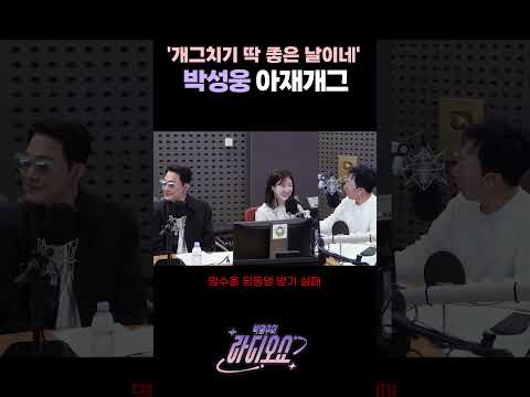 '개그치기 딱 좋은 날이네' 박성웅의 아재개그 / [박명수의 라디오쇼] | KBS 260325 방송