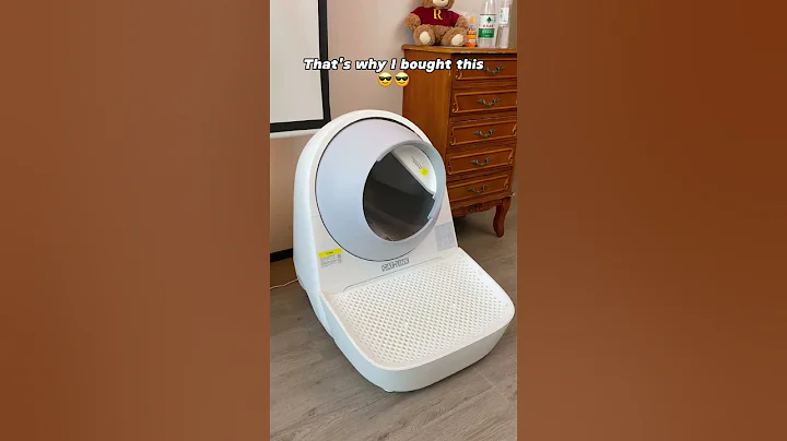 Watch the video about Hurry up and get a cat litter box for your cat! #siamese #catlover #catowner #cathealth #catlink