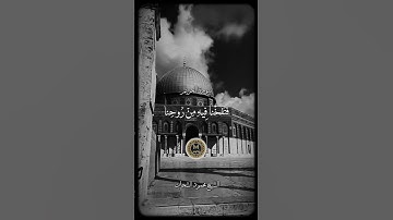 الشيخ محمود الشحات محمد انور سورة التحريم مقام بيات #تلاوت_قرآن_کریم #صباح_الخير #trending