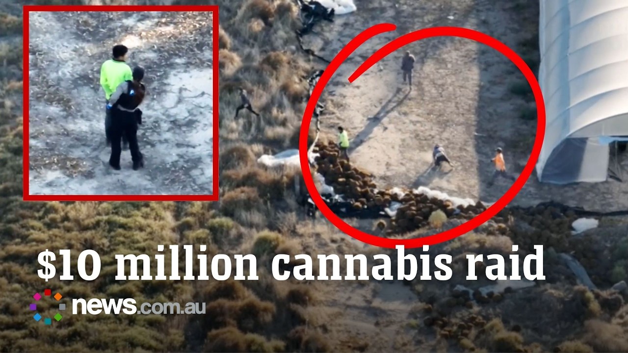 Suspects flee as police raid a million dollar cannabis operation