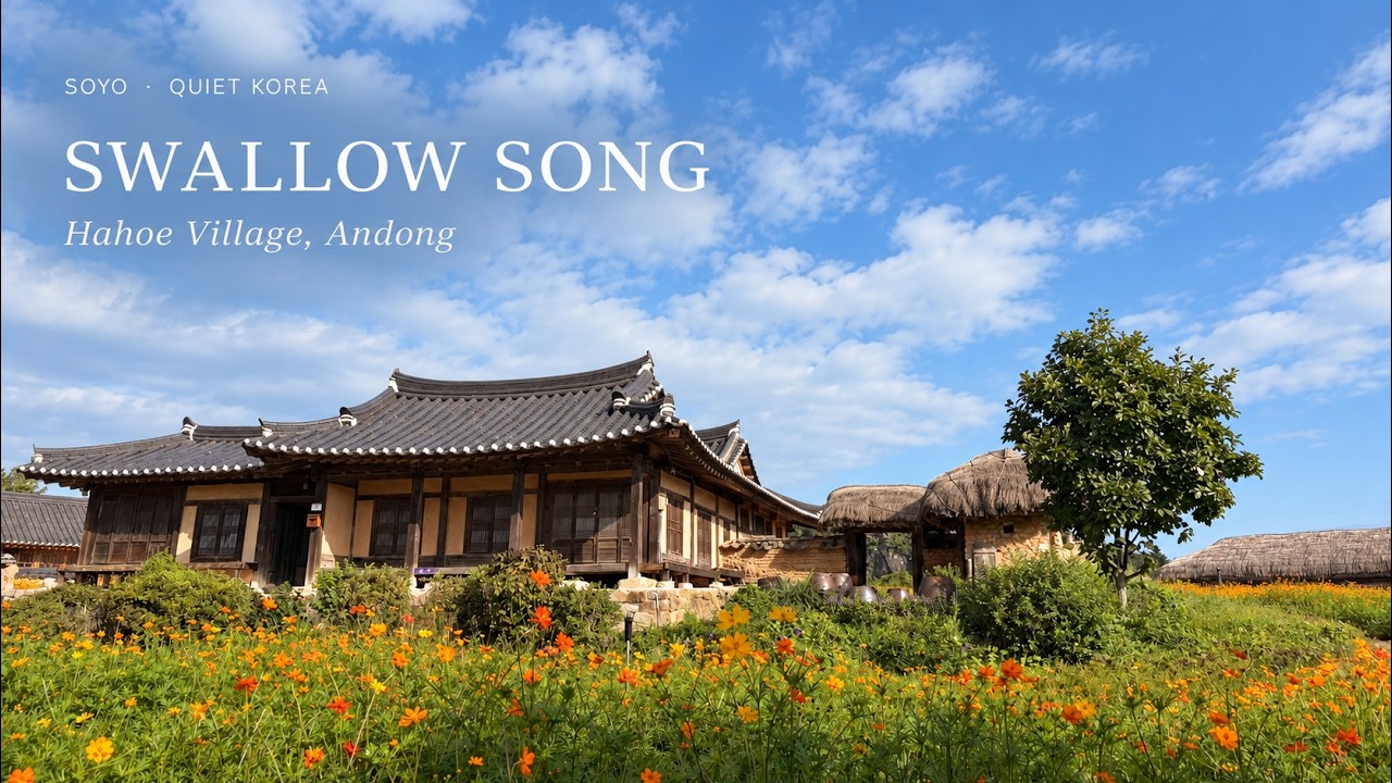 안동 하회마을 제비소리 한 시간 | Swallow Song in Hahoe Village, Andong 🐦 | Real Village Sounds