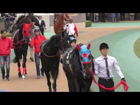 第３６回ジャパンカップ　2　第9Rパドック