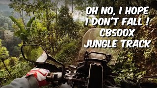 i hope i don't fall ! But she can go anywhere ! Honda CB500X jungle track