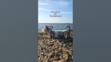 Final results: mermaid photoshoot