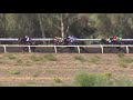 View race 5 video for 2020-02-29