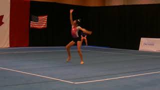 AEROBICS WorldClass E Aragian IW JrAerodance Prov 2018OntarioChampionships