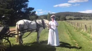 Vintage Horse Carriage Rides In The Macedon Ranges