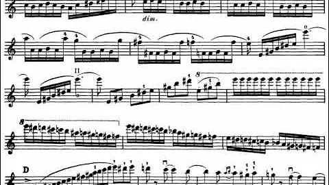 Saint-Sans, Camille  Introduction + Rondo Capricci...