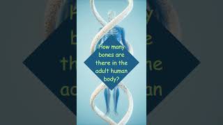 How Your Body Works (Human Body Education for Kids)