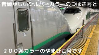 200系カラーとシルバーカラーで登場したやまびこ・つばさ149号仙台・山形行きの大宮駅到着＆発車シーン（Ｅ２系・Ｅ３系）