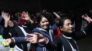 tharu dance meghauli with visitors,