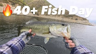 Castaic Lake Bass Fishing | #shimanofishing #stcroixrods #castaiclake #trackerboats 