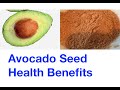 Avocado Seed, Health Benefits & How To Prepare Avocado Seed Powder