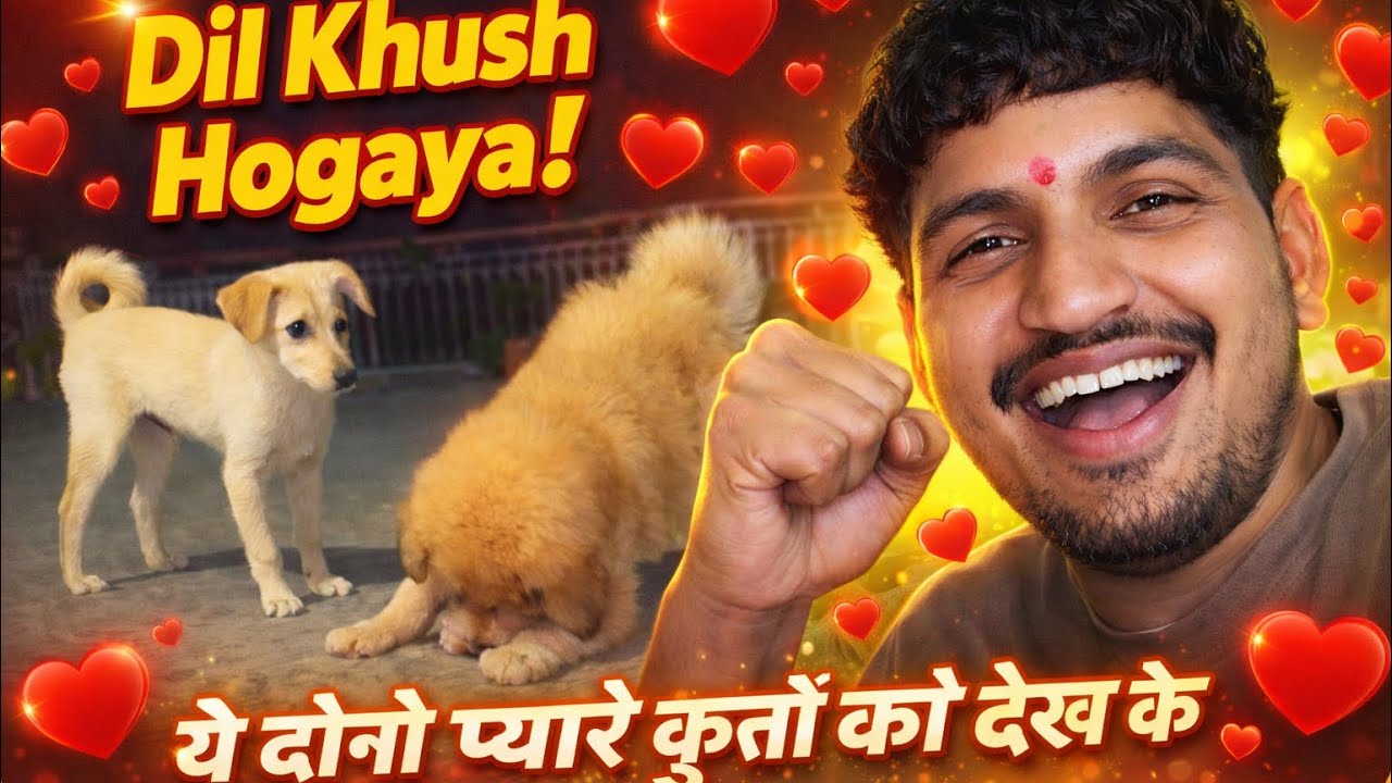 Aaj Dil Sach Me Khush Ho Gaya ❤️ | Cute Puppi  Moment | Daily Vlog 