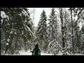 Зимний лес/Чудотворный источник /Lana Solov&#39;eva
