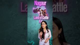 Nicknames of Cities of Rajasthan