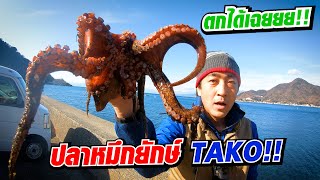 [Eng Sub] Fishing Octopus | จับปลาอย่างไรได้ปลาหมึกยักษ์ Toko! | SUGOI JAPAN l 350
