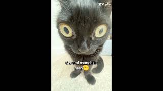 And Worst Of All Larry