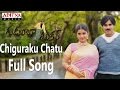 Chiguraku Chatu Full Song |Gudumba Shankar|Pawan Kalyan|Pawan Kalyan, Mani SharmaHits | Aditya Music