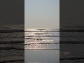 Virtual Tours... #my tour #virtualtours #reelschallenge #saintmartins #shortsviral #shorts #reels