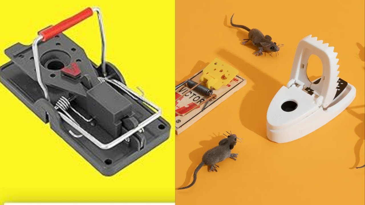 The 5 Best Pest Control Traps of 2025