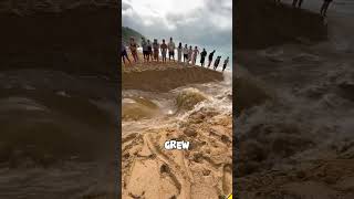 Does It Damage The Ecosystem ?