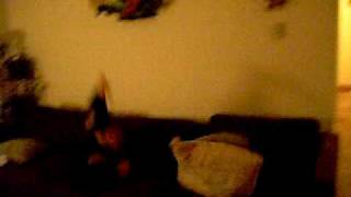 me diving into couch :)