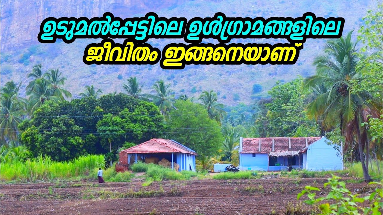 ഉടുമൽപ്പേട്ടിലെ ഗ്രാമീണ വഴികളിലൂടെ ഒരു യാത്ര | Udumalpettu Rural Villages