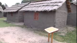 El Fortin Pavon