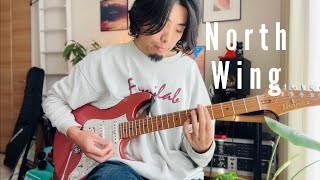 North Wing - Chill Guitar with Ibanez2204