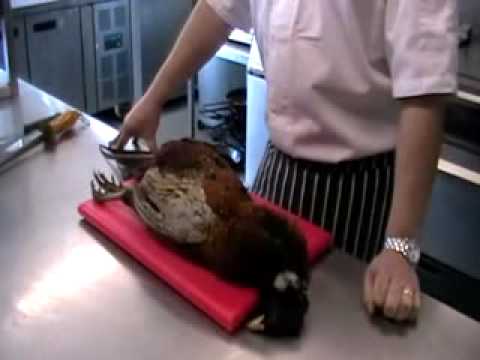 Preparing a pheasant for the pot